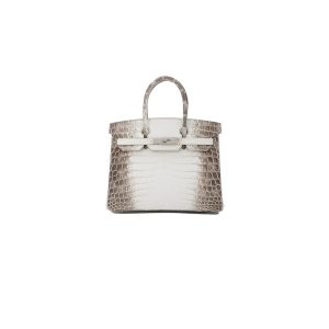 Hermès Birkin 30 Himalayan