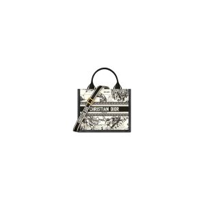 Small Dior Book Tote