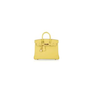 Hermes Birkin 25 Bag(Tax-Free GRADE)