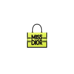 Small Dior Book Tote