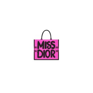Small Dior Book Tote